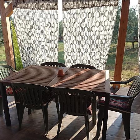 Nature Home Eco-Friendly Pet-Friendly Fažana Eksteriør bilde