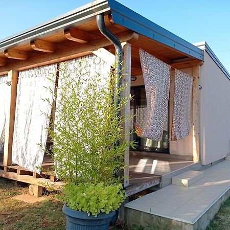 Nature Home Eco-Friendly Pet-Friendly Fažana Eksteriør bilde