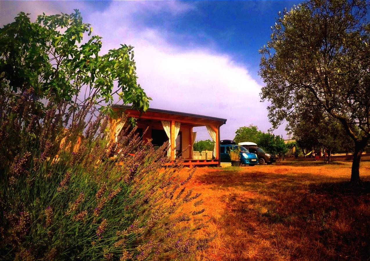 Nature Home Eco-Friendly Pet-Friendly Fažana Eksteriør bilde