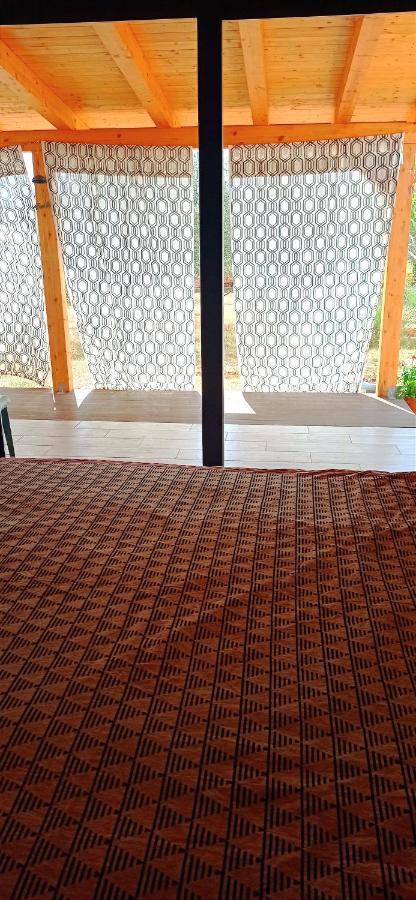 Nature Home Eco-Friendly Pet-Friendly Fažana Eksteriør bilde