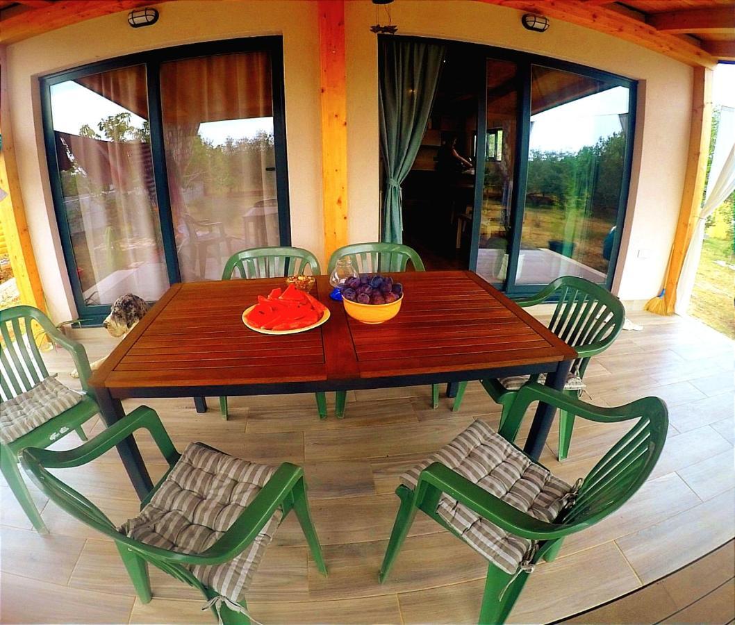 Nature Home Eco-Friendly Pet-Friendly Fažana Eksteriør bilde